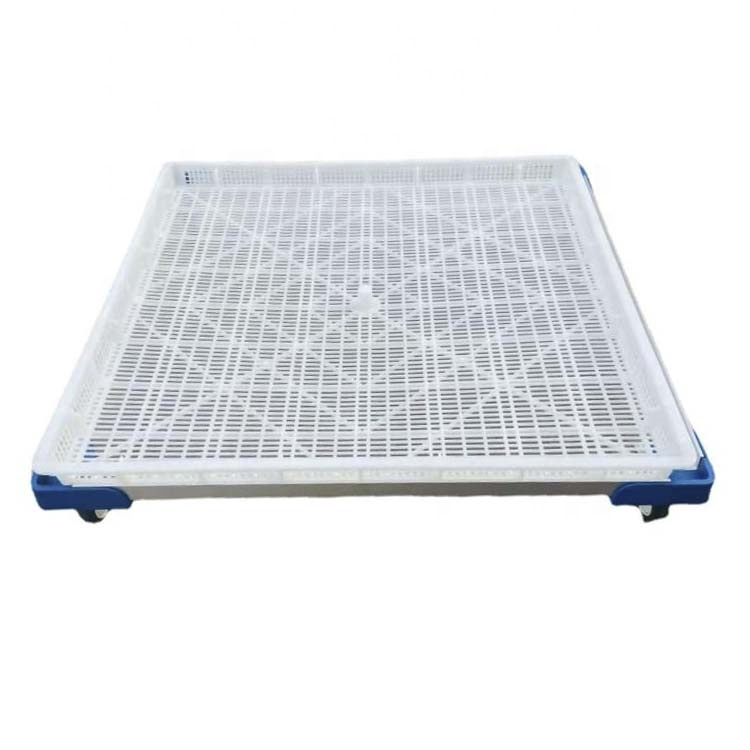 Food Grade Pasta Stackable Plastic Drying Tray for Fruit Food Dryer Food Grade Pasta Stackable Plastic Drying Tray for Fruit Food Dryer
