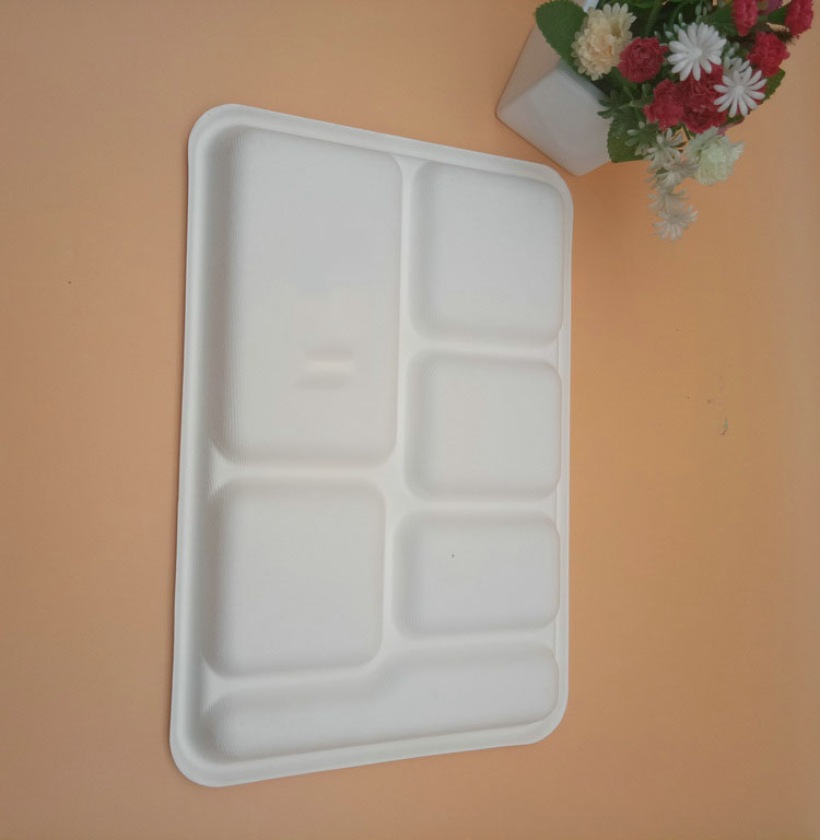 Heavy Capacity Biodegradable Disposable Sugarcane 6 Compartment Trays Heavy Capacity Biodegradable Disposable Sugarcane 6 Compartment Trays
