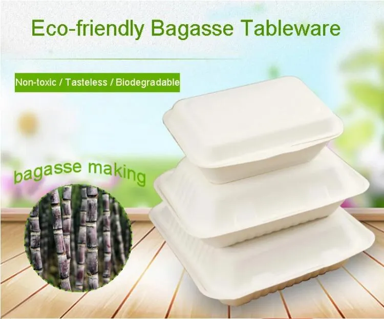 Heavy Capacity Biodegradable Disposable Sugarcane 6 Compartment Trays