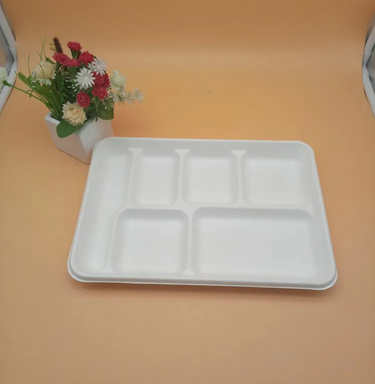 Heavy Capacity Biodegradable Disposable Sugarcane 6 Compartment Trays