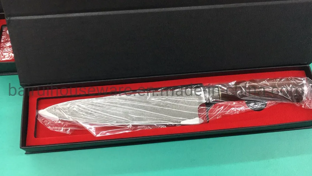 High Quality 67layer Vg10 Damascus Steel Kitchen Chef Knife J-0425dh