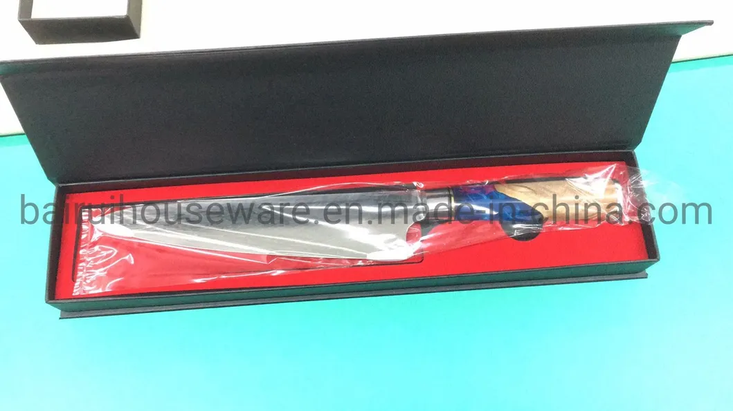 High Quality 67layer Vg10 Damascus Steel Kitchen Chef Knife J-0425dh