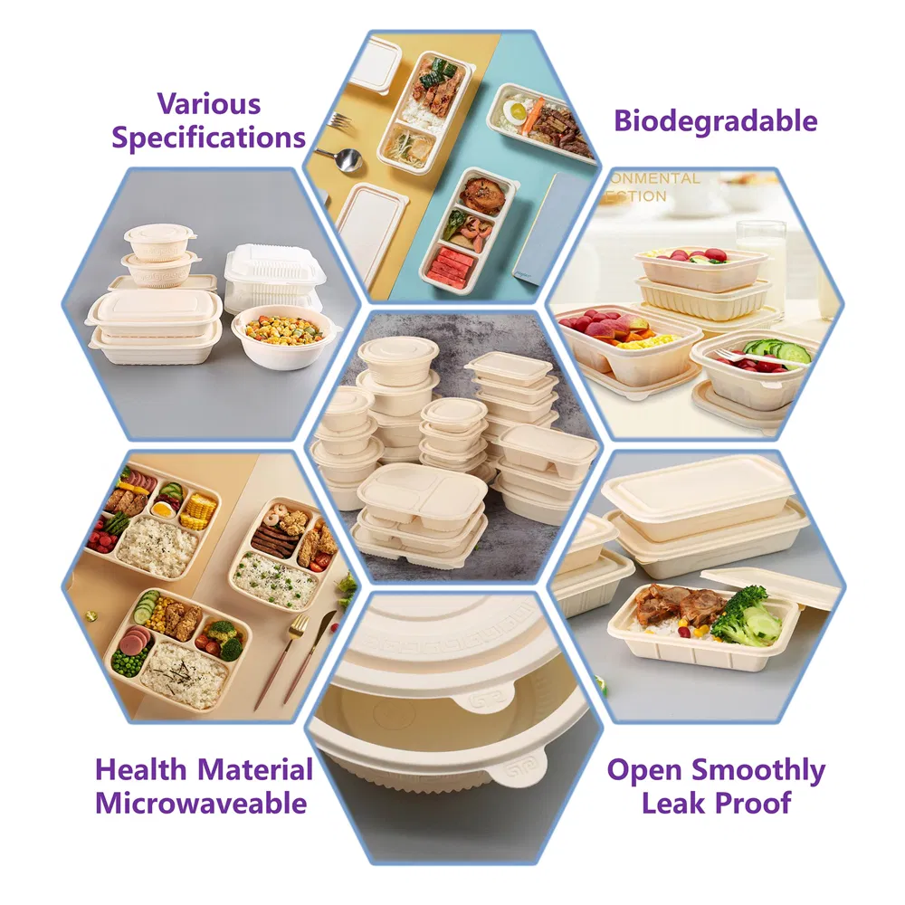 Microwave Biodegradable Disposable Food Container Portable Corn Starch Lunch Box Eco Friendly Food Packaging Freshness Preservation