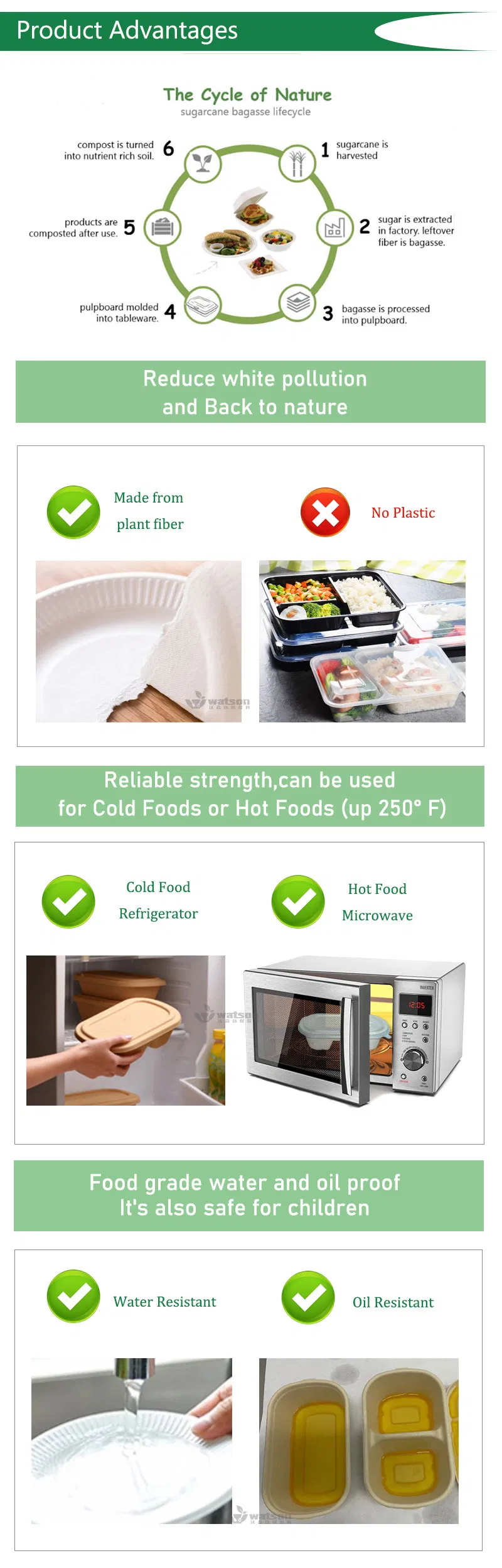 Non-Leaking Bamboo Fiber 3 Compartment Cakes Holder Biodegradable Eco Friendly Packaging Disposable Food Container