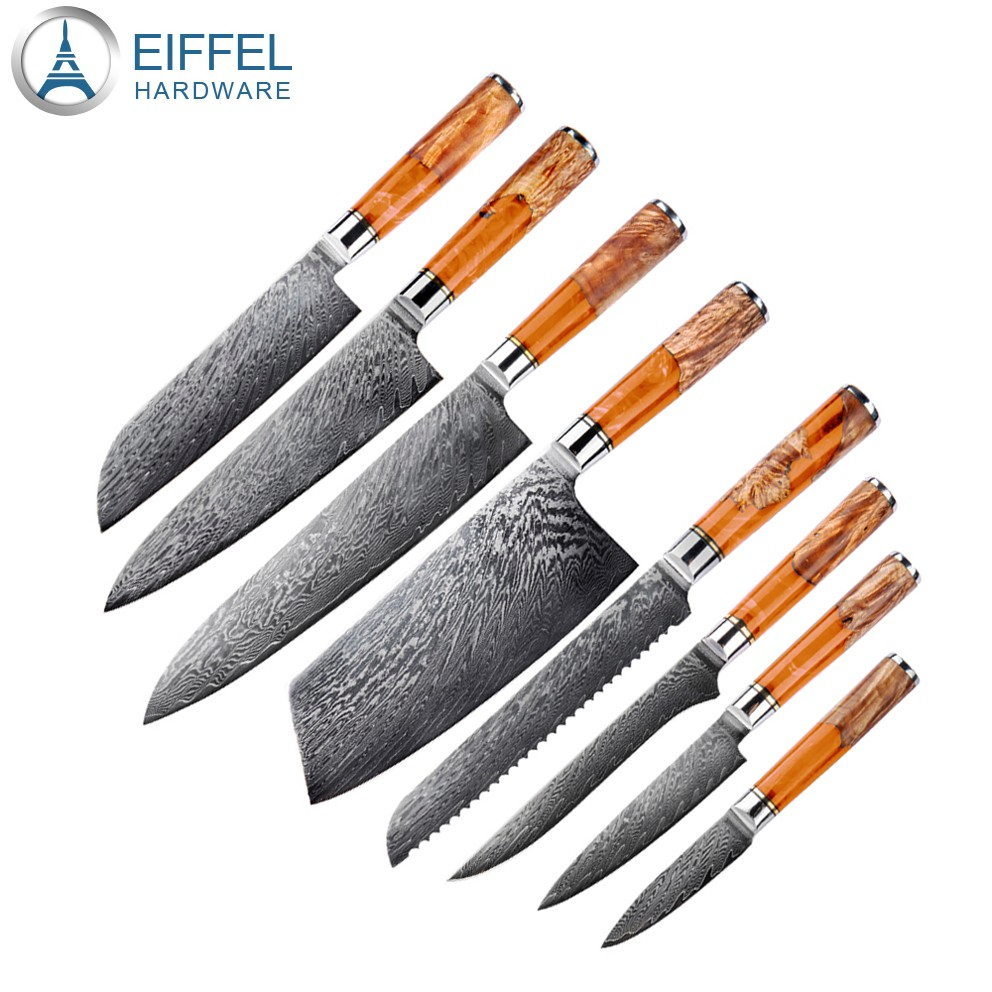 OEM 67 Layer Vg10 Damascus Steel Kitchen Knife Set Damascus Knife Set with Wood&Resin Integrated Handle