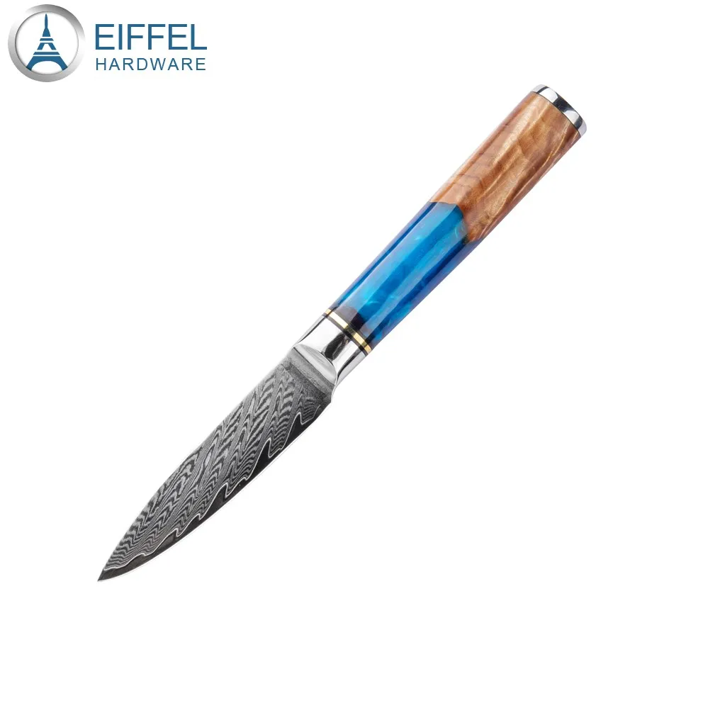 OEM 67 Layer Vg10 Damascus Steel Kitchen Knife Set Damascus Knife Set with Wood&Resin Integrated Handle