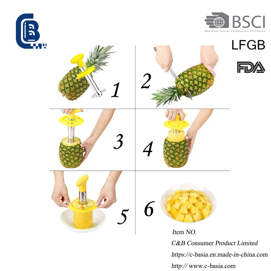 Stainless Steel Pineapple Cutter Peeler Pineapple Corer and Slicer Pineapple Core Remover Tool Kitchenware