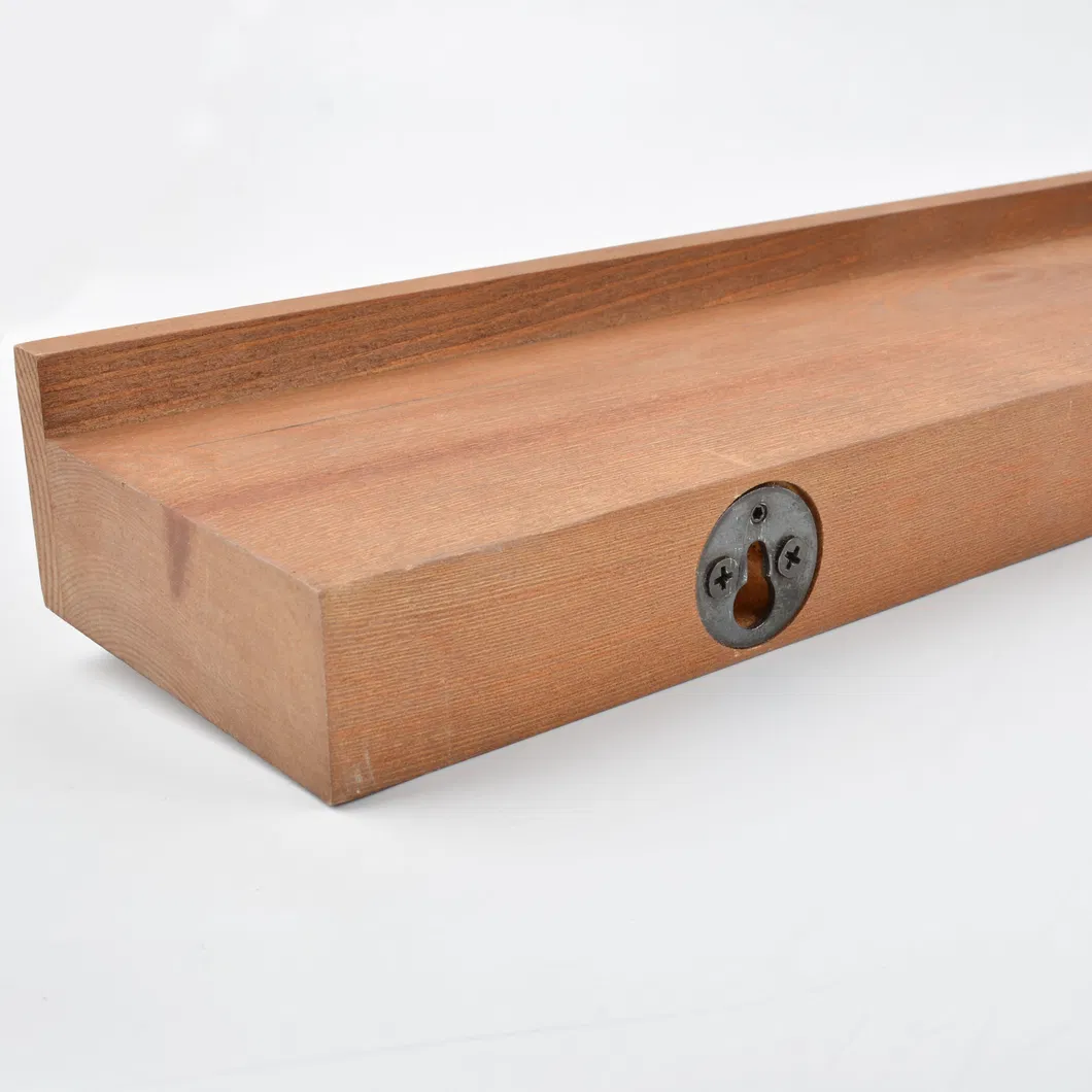 Wall Mounted Bedroom Floating Ledge Shelf 17 Inch with 5 Hooks